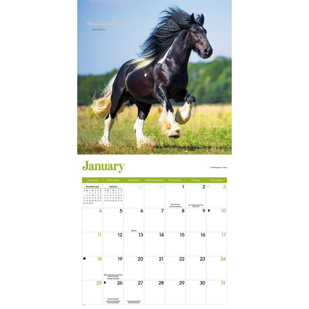 Horse Lovers Special Value 2026 Wall Calendar Second Alternate Image