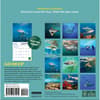 image Sharks Mini 2026 Wall Calendar First Alternate Image