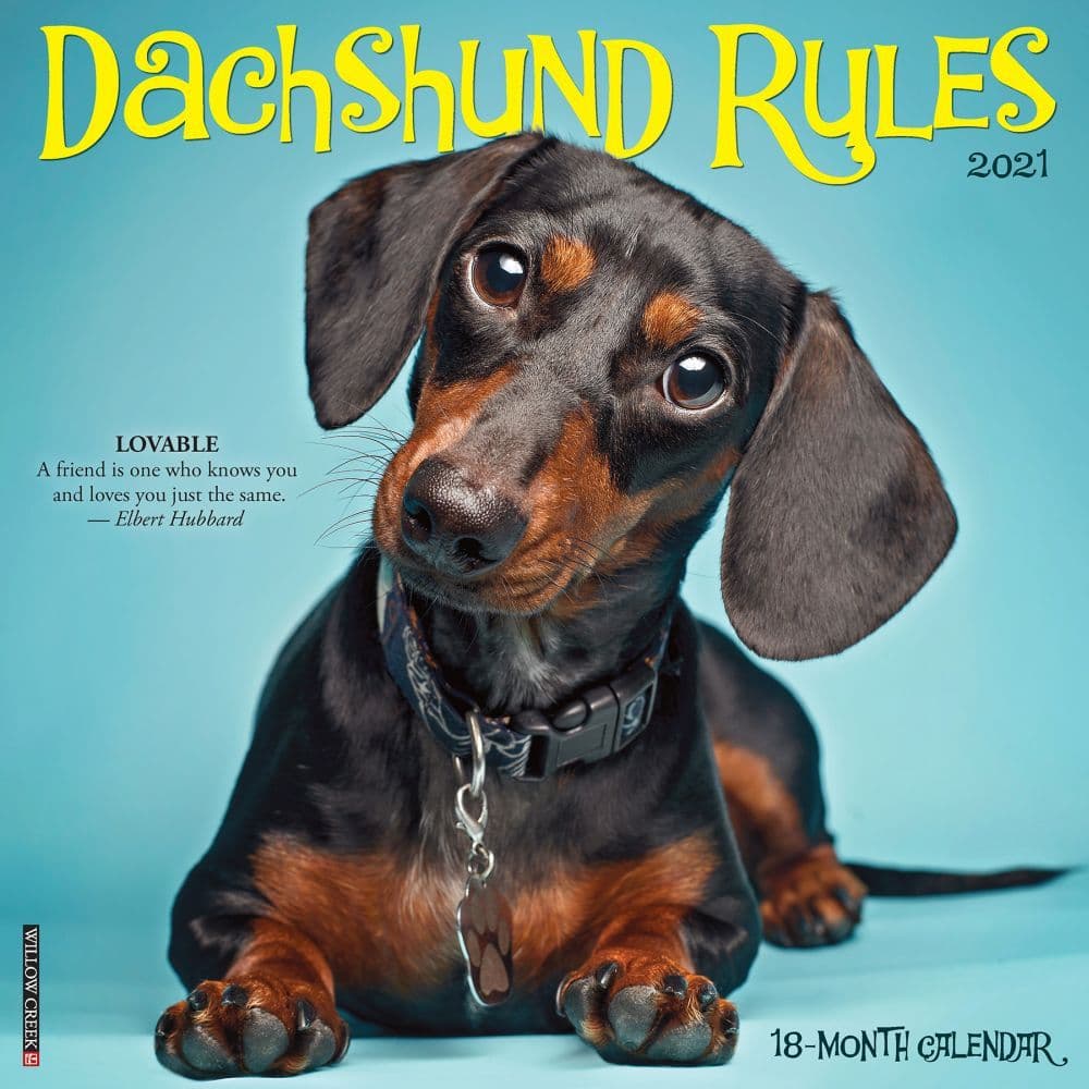 Dachshund Rules Wall Calendar
