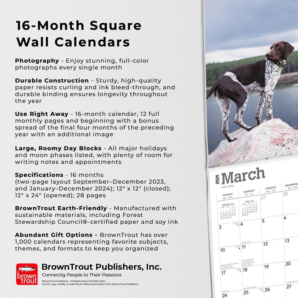 German Shorthaired Pointers 2024 Wall Calendar