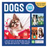 image Dogs Daily 2025 Desk Calendar back of box