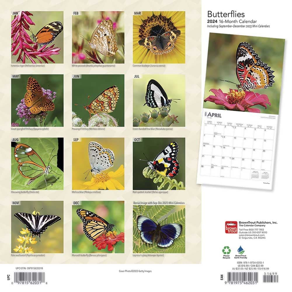 Butterflies 2024 Wall Calendar