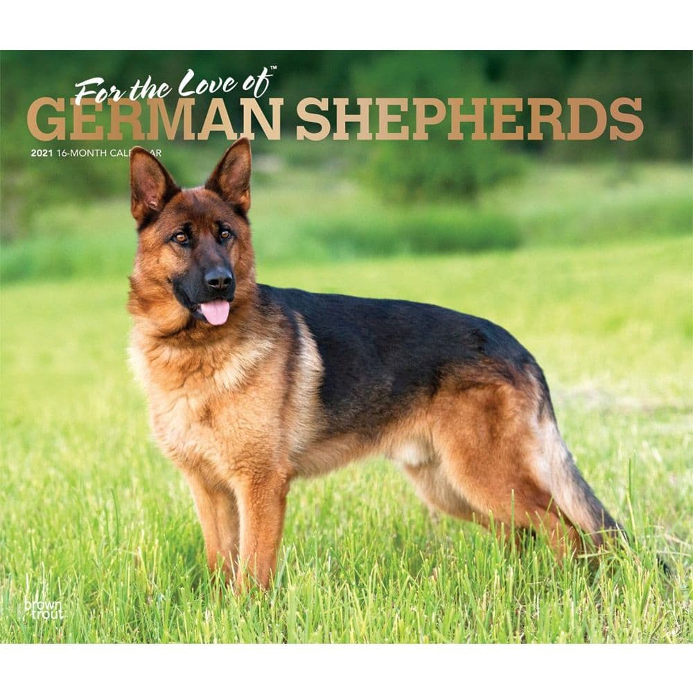 german shepherd eyesight