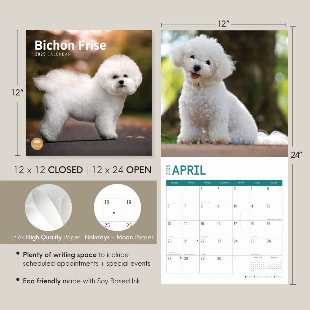 Bichon Frise 2025 Wall Calendar Seventh Alternate Image