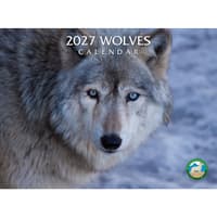 image Wolves 2027 Wall Calendar Main Product Image