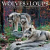 image Wolves Bilingual French and English 2025 Wall Calendar Main Product Image