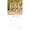 image Meerkats 2025 Wall Calendar Third Alternate Image width=&quot;1000&quot; height=&quot;1000&quot;