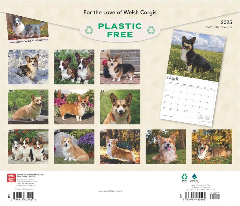 Welsh Corgis Deluxe 2025 Wall Calendar back