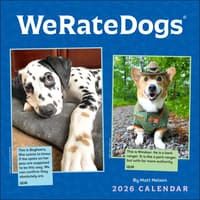 image We Rate Dogs 2026 Wall Calendar Main Image