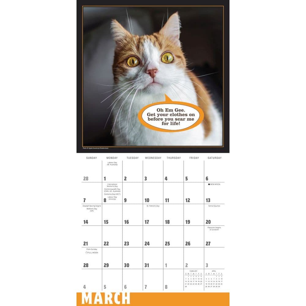 Cat Chat Wall Calendar