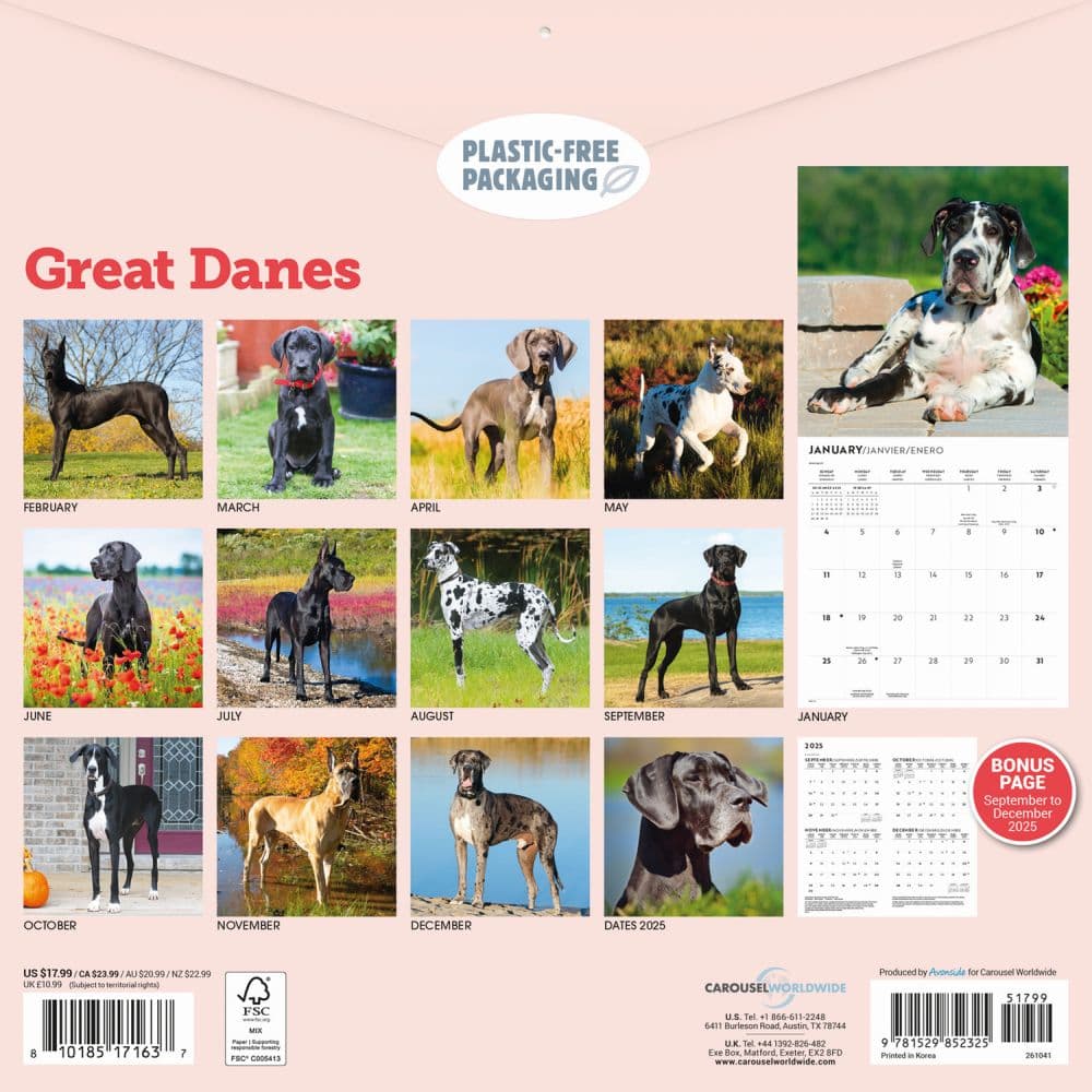 Great Danes 2026 Wall Calendar First Alternate Image