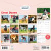 image Great Danes 2026 Wall Calendar First Alternate Image