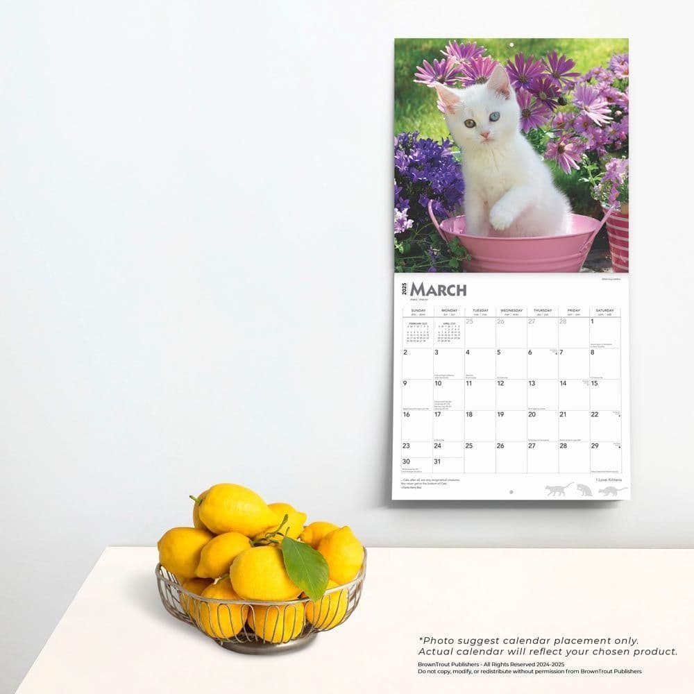 I Love Kittens 2025 Wall Calendar Fourth Alternate Image