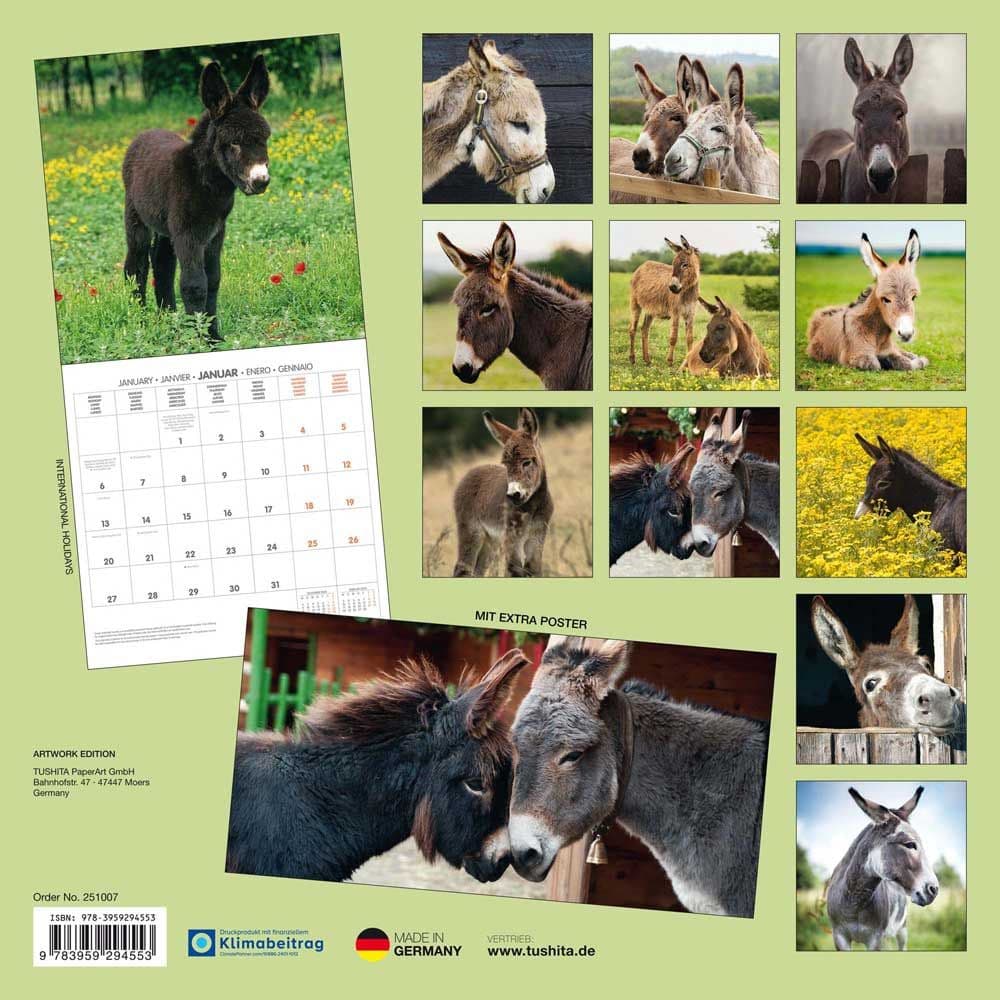 Donkeys 2025 Wall Calendar First Alternate Image width="1000" height="1000"