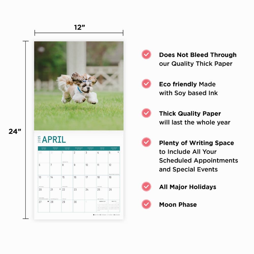 Shih Tzu 2025 Wall Calendar Eighth Alternate Image