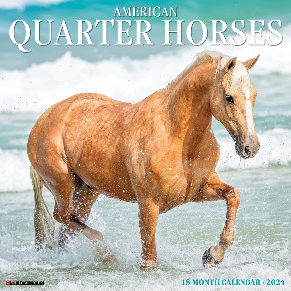 Horses American Quarter 2024 Wall Calendar
