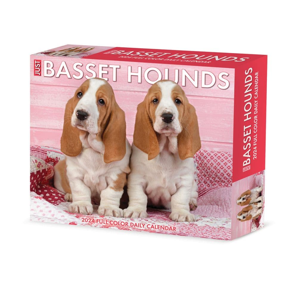 Basset Hounds Just 2024 Desk Calendar