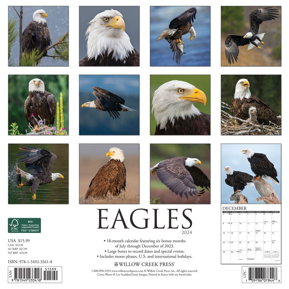 Eagles 2024 Wall Calendar Alternate Image 1