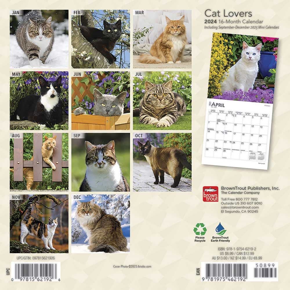 Cats 2024 Mini Wall Calendar - Calendars.com