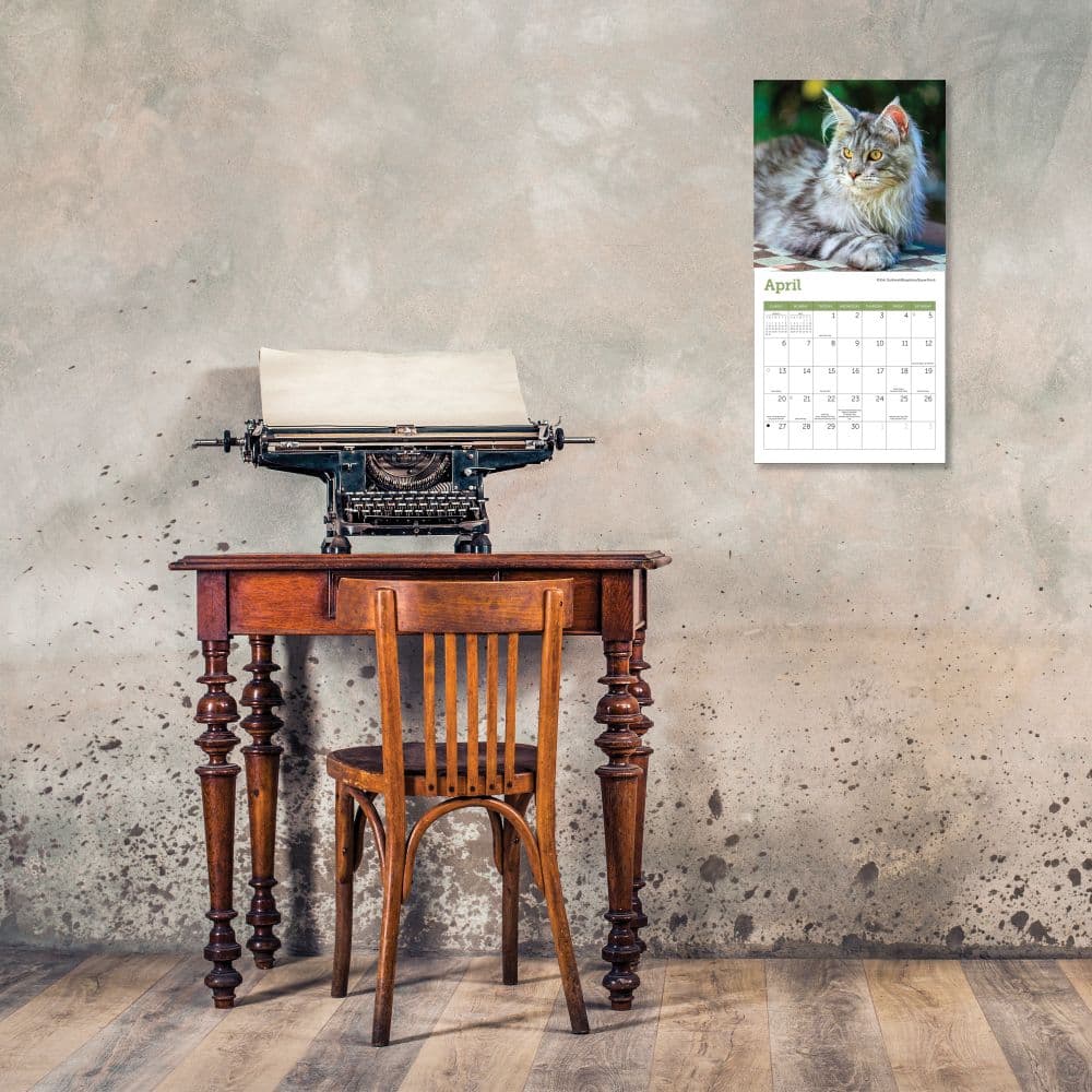 Cats 2025 Mini Wall Calendar Fourth Alternate Image width="1000" height="1000"