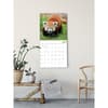 image Red Pandas 2024 Wall Calendar Fifth Alternate Image width=&quot;1000&quot; height=&quot;1000&quot;