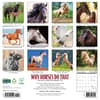 image Why Horses Do That 2025 Wall Calendar