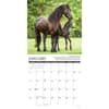 image Why Horses Do That 2026 Wall Calendar Second Alternate Image