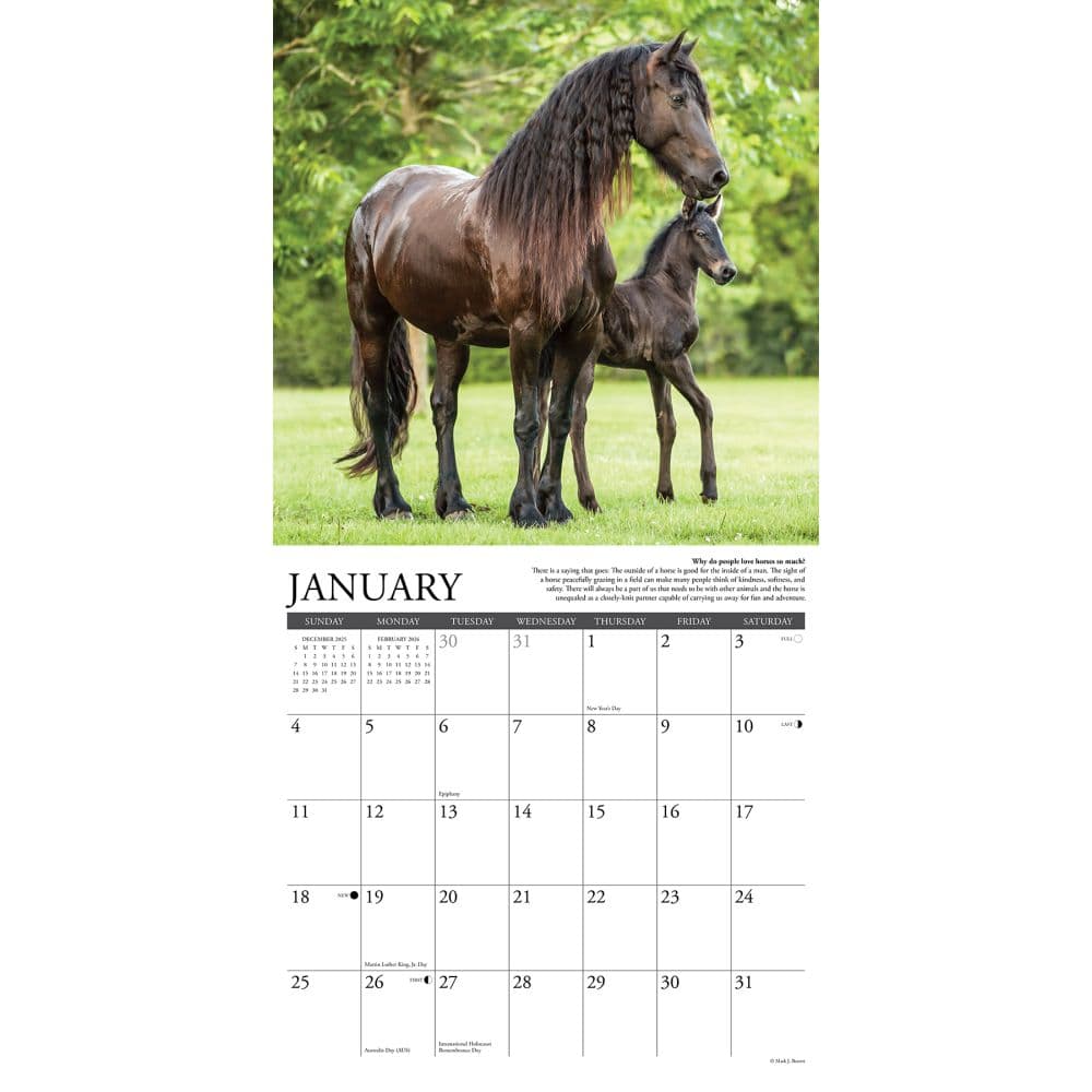 Why Horses Do That 2026 Wall Calendar Second Alternate Image
