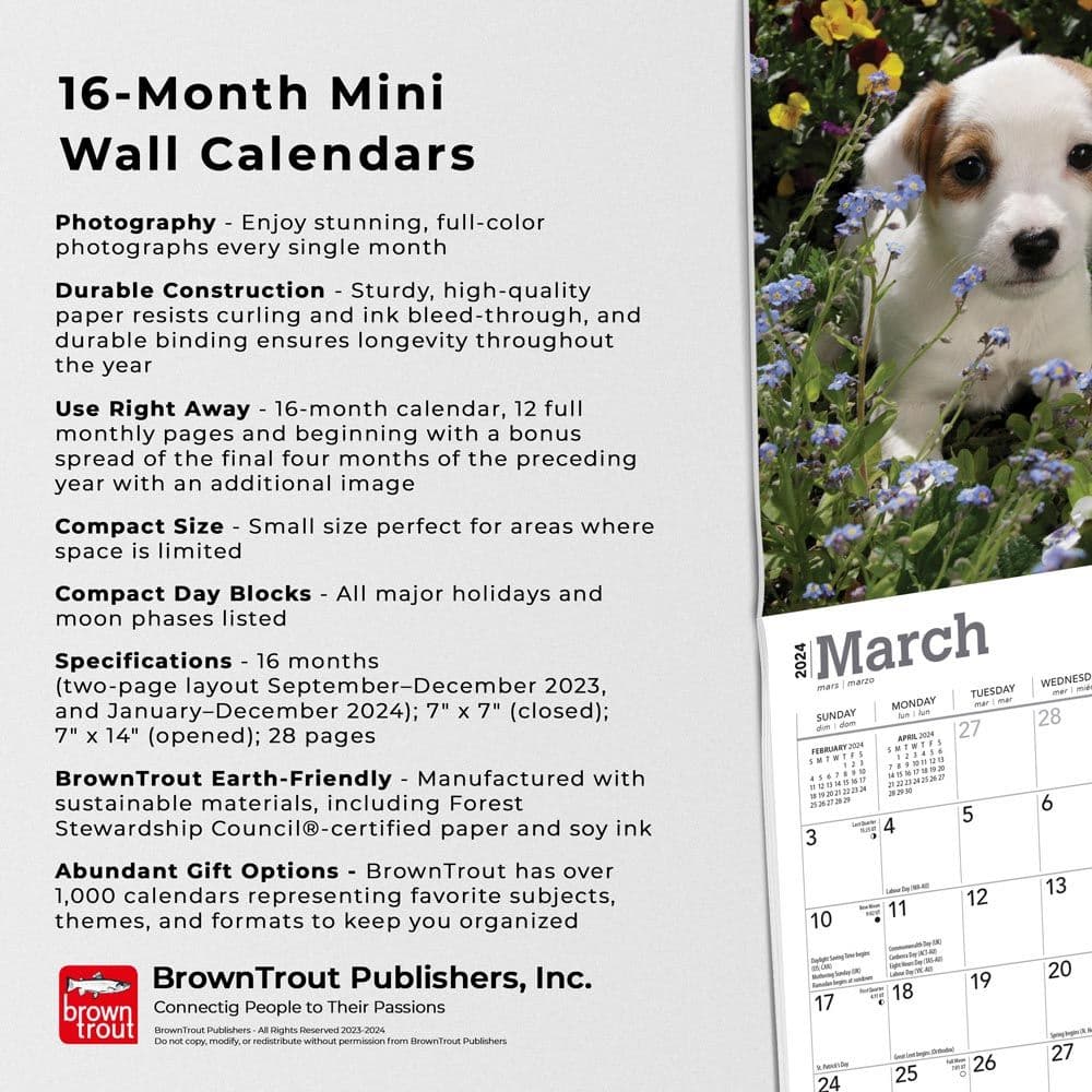 Jack Russell Terrier Puppies 2024 Mini Wall Calendar Fourth Alternate Image width=&quot;1000&quot; height=&quot;1000&quot;