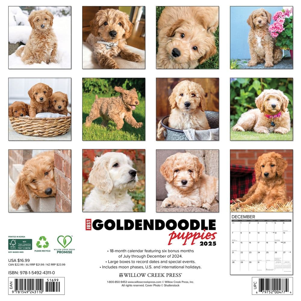 Just Goldendoodle Puppies 2025 Wall Calendar First Alternate Image width=&quot;1000&quot; height=&quot;1000&quot;