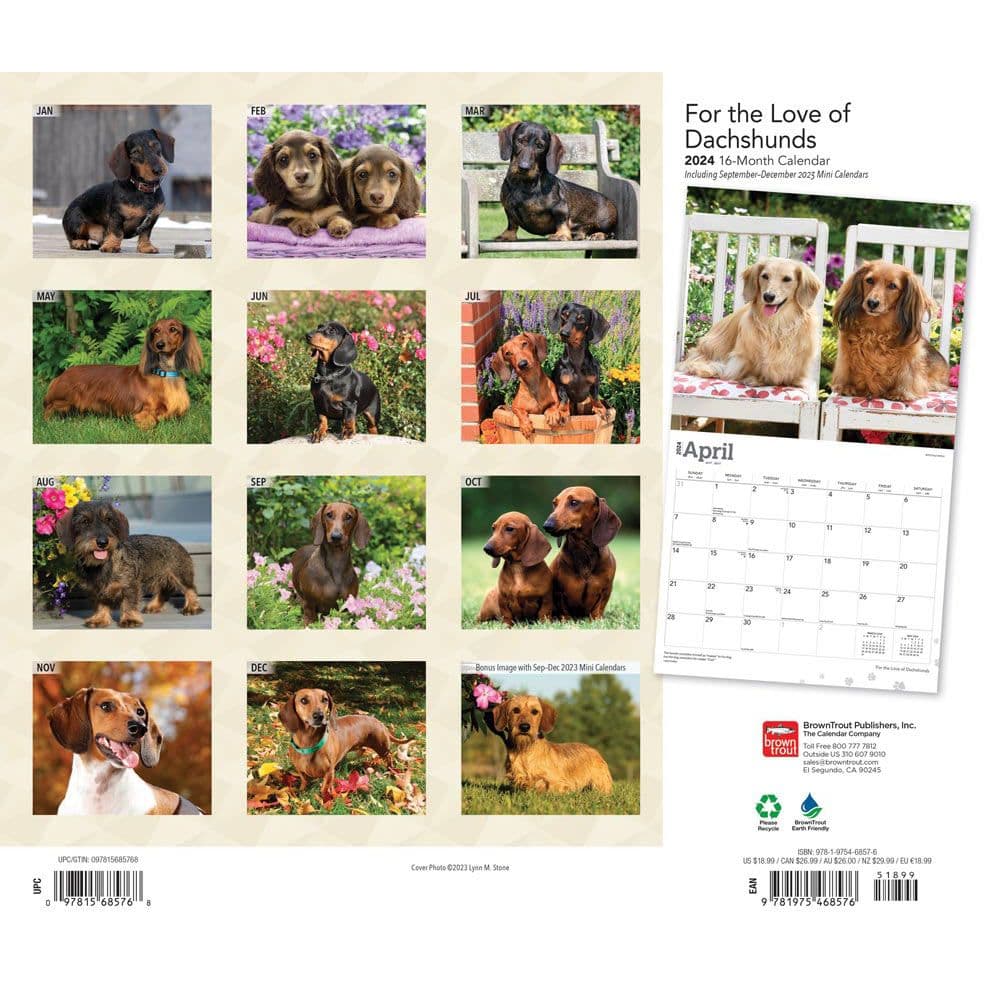 Dachshunds Deluxe 2024 Wall Calendar