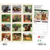 image Dachshunds Deluxe 2024 Wall Calendar First Alternate Image width=&quot;1000&quot; height=&quot;1000&quot;