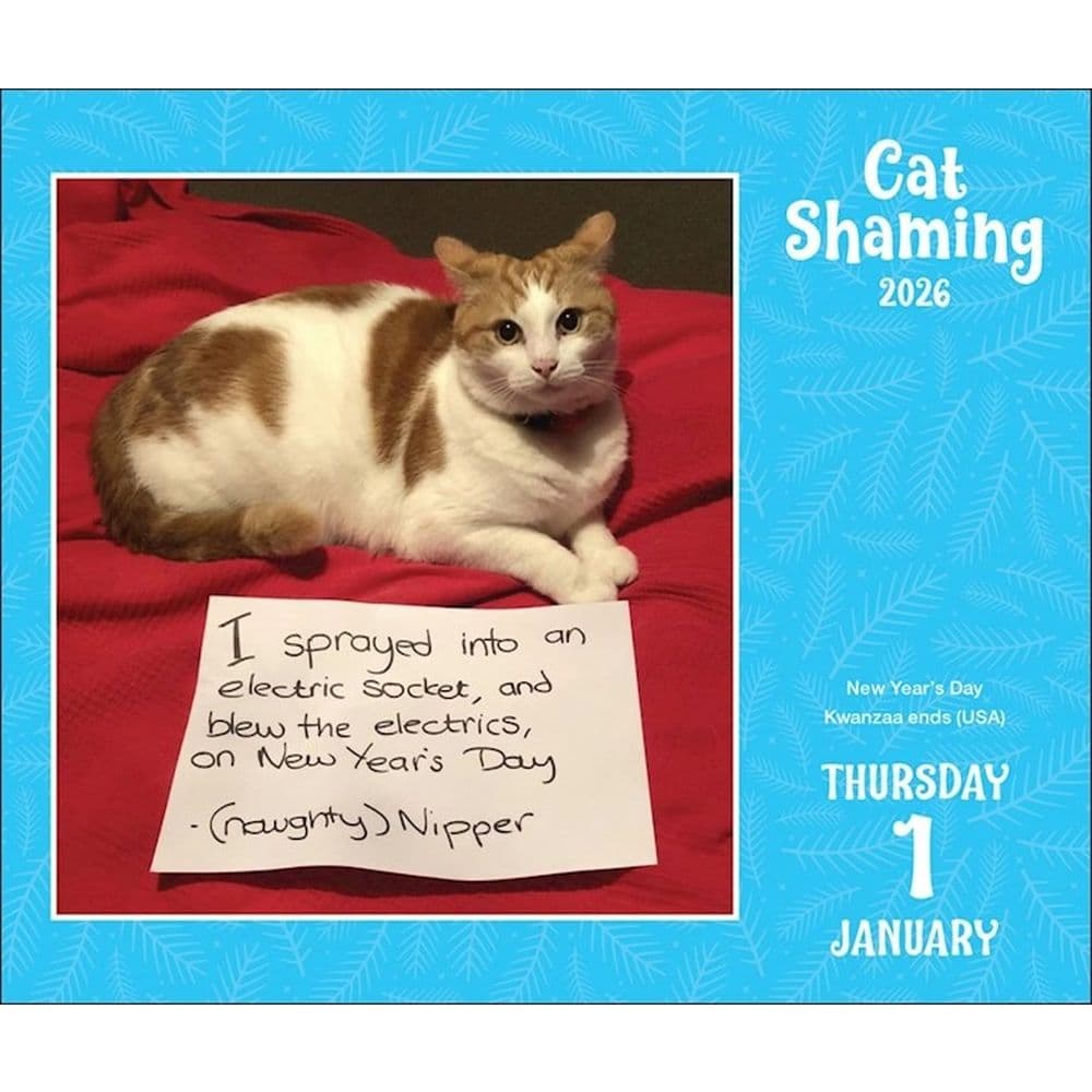 Cat Shaming 2026 Desk Calendar Second Alternate Image