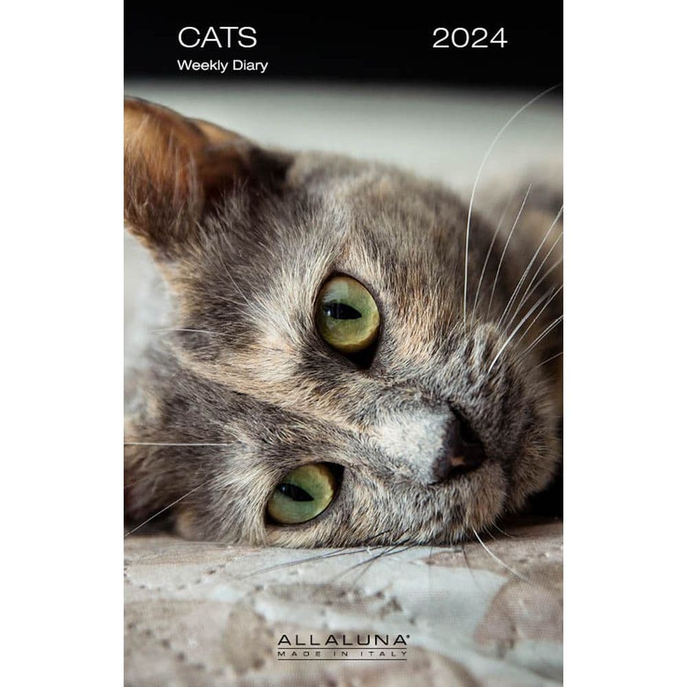 Cats 2024 Weekly Planner Calendars Com   Bc6851e8 8eb9 4349 A6af 0ad3e64445d0