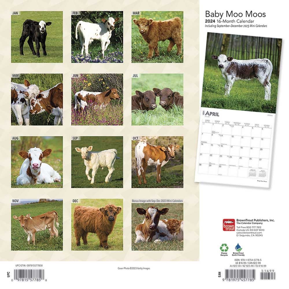 Baby Moo Moos 2024 Wall Calendar