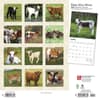 image Baby Moo Moos 2024 Wall Calendar First Alternate Image width=&quot;1000&quot; height=&quot;1000&quot;