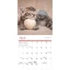 image Kittens 2025 Mini Wall Calendar Third Alternate Image width=&quot;1000&quot; height=&quot;1000&quot;