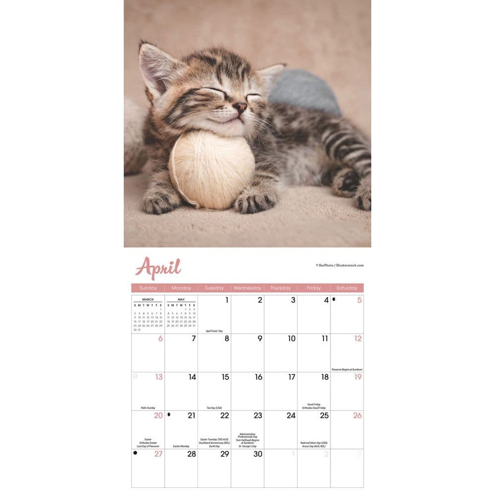 Kittens 2025 Mini Wall Calendar Third Alternate Image width=&quot;1000&quot; height=&quot;1000&quot;