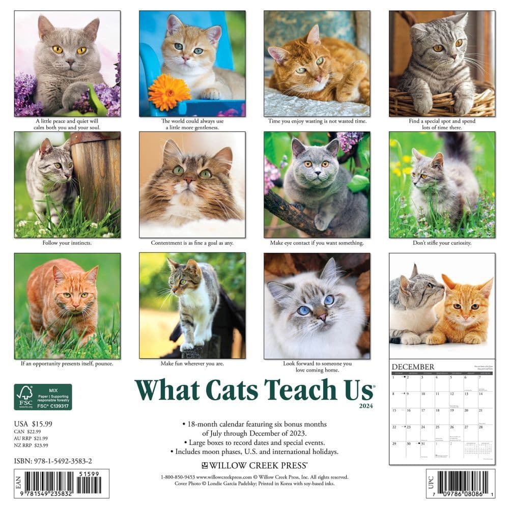 Cats What Cats Teach Us 2024 Wall Calendar