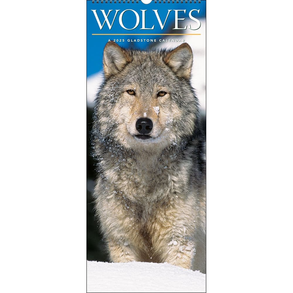 Wolves Vertical 2025 Wall Calendar Main Image