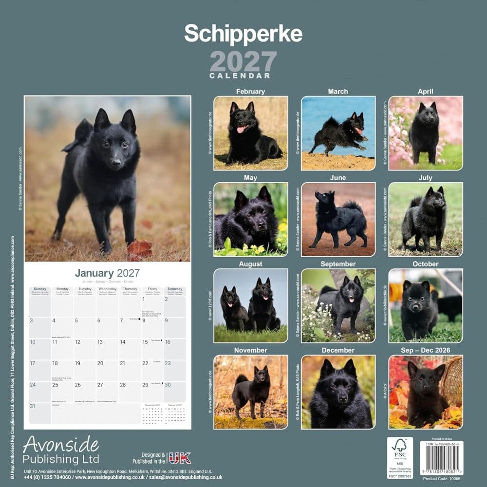 Schipperke 2027 Wall Calendar First Alternate Image