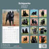 image Schipperke 2027 Wall Calendar First Alternate Image