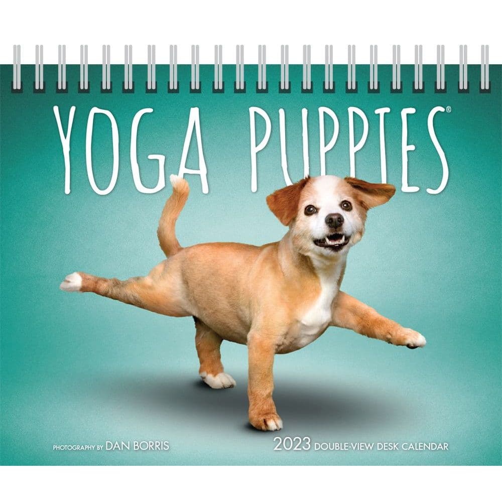 Dog Calendar 2023 Yoga Puppies 2023 Easel Desk Calendar - Calendars.com
