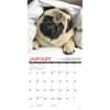 image Pug Mugs 2025 Wall Calendar Second Alternate Image width=&quot;1000&quot; height=&quot;1000&quot;