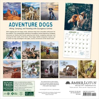 Dogs Adventure 2024 Wall Calendar First Alternate Image width=&quot;1000&quot; height=&quot;1000&quot;