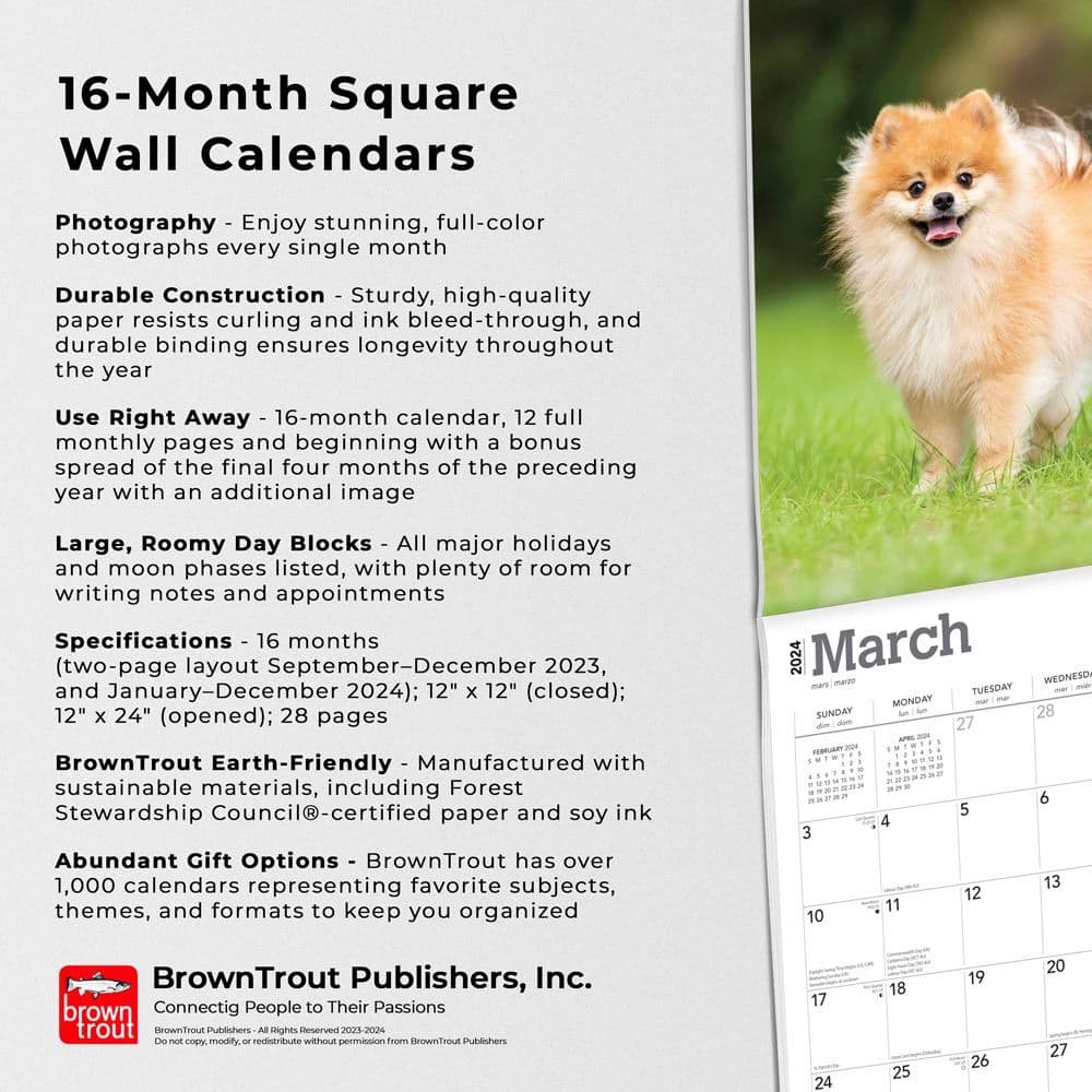 Pomeranians 2024 Wall Calendar