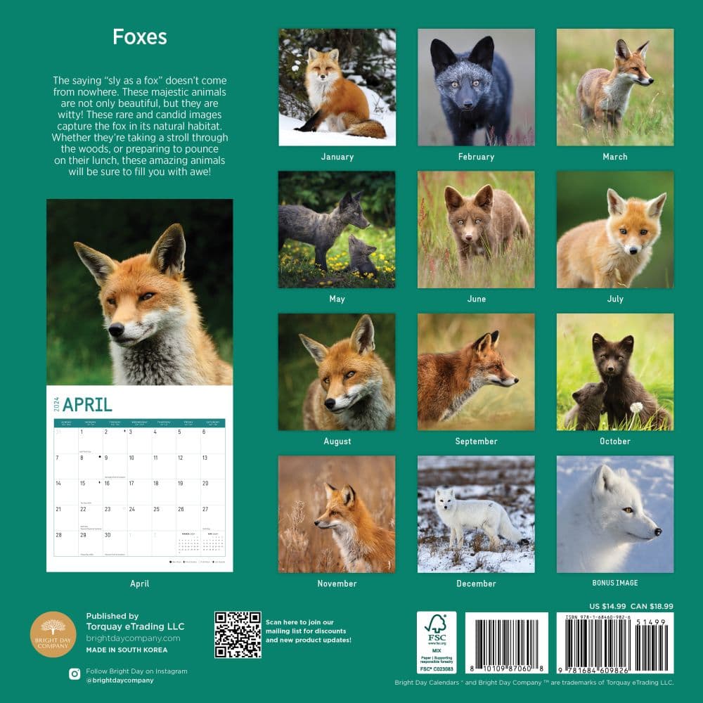 Foxes 2024 Wall Calendar First Alternate Image width=&quot;1000&quot; height=&quot;1000&quot;