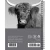 image Highland Cows 2027 Planner First Alternate Image
