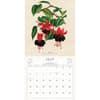 image World of John Derian 2027 Wall Calendar Fourth Alternate Image