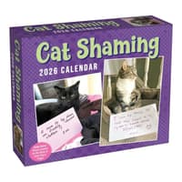 image Cat Shaming 2026 Desk Calendar Main Product Image